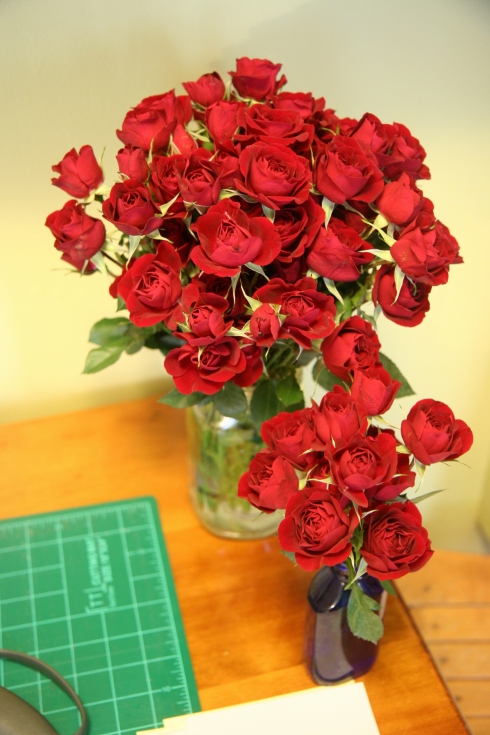 roses from Kroger